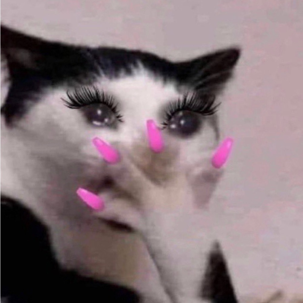 Meet your Posher, Guy